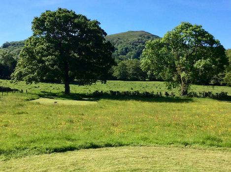 Campings Pas Chers Malvern cozycozy