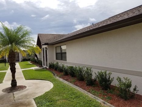 Lake Istokpoga, FL airbnb, hotels and vacation rentals