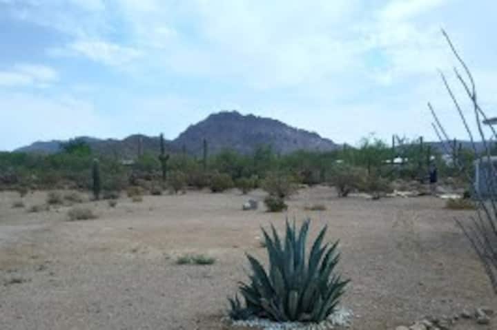 Do Drop In - Arizona-Sonora Desert Museum