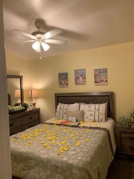 Birdland San Diego airbnb, hotels and vacation rentals