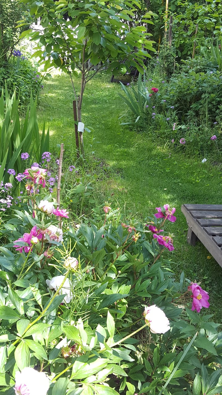 Appart De Villa, Jolis Jardins & 3 Vtt Disponibles - Digne-les-Bains