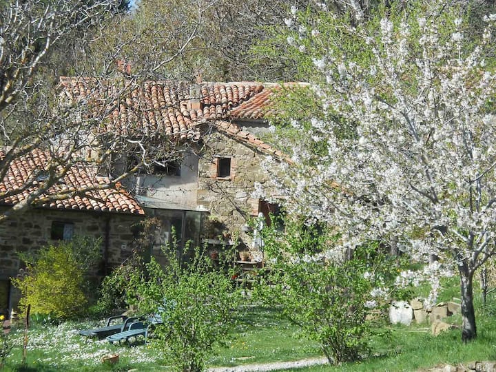 Luca's Farmhouse In Maremma - Monte Amiata