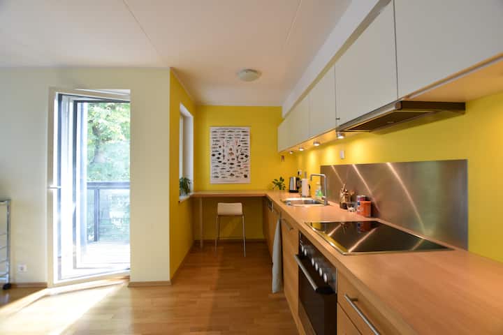 Precioso Y Espacioso Apartamento Central Con Sauna - Tallinn