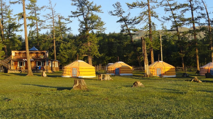 Camp Hirvesteg, Regular Size Ger 2 - Mongolia