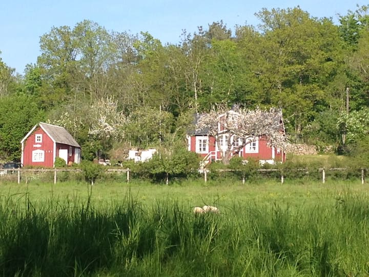Cozy Private House In Mörrum Just By The River - Blekinge län