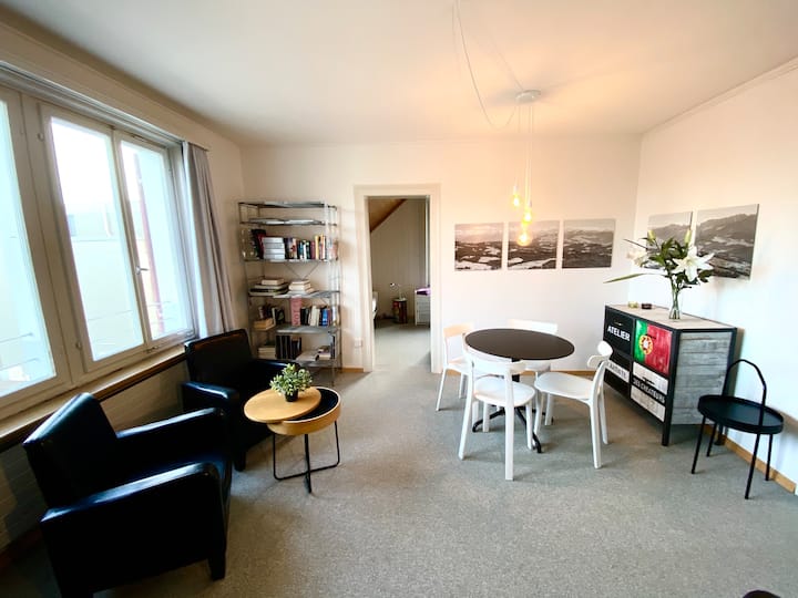 3 Room Apartment U59 - St. Gallen