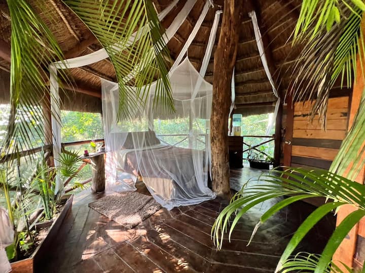 Exclusive Treehouse & Cenote ~ Sweet Jungle Dreams - Riviera Maya