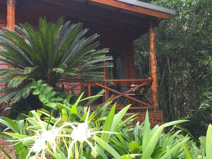 Casa Kuranda In The Rainforest - Kuranda