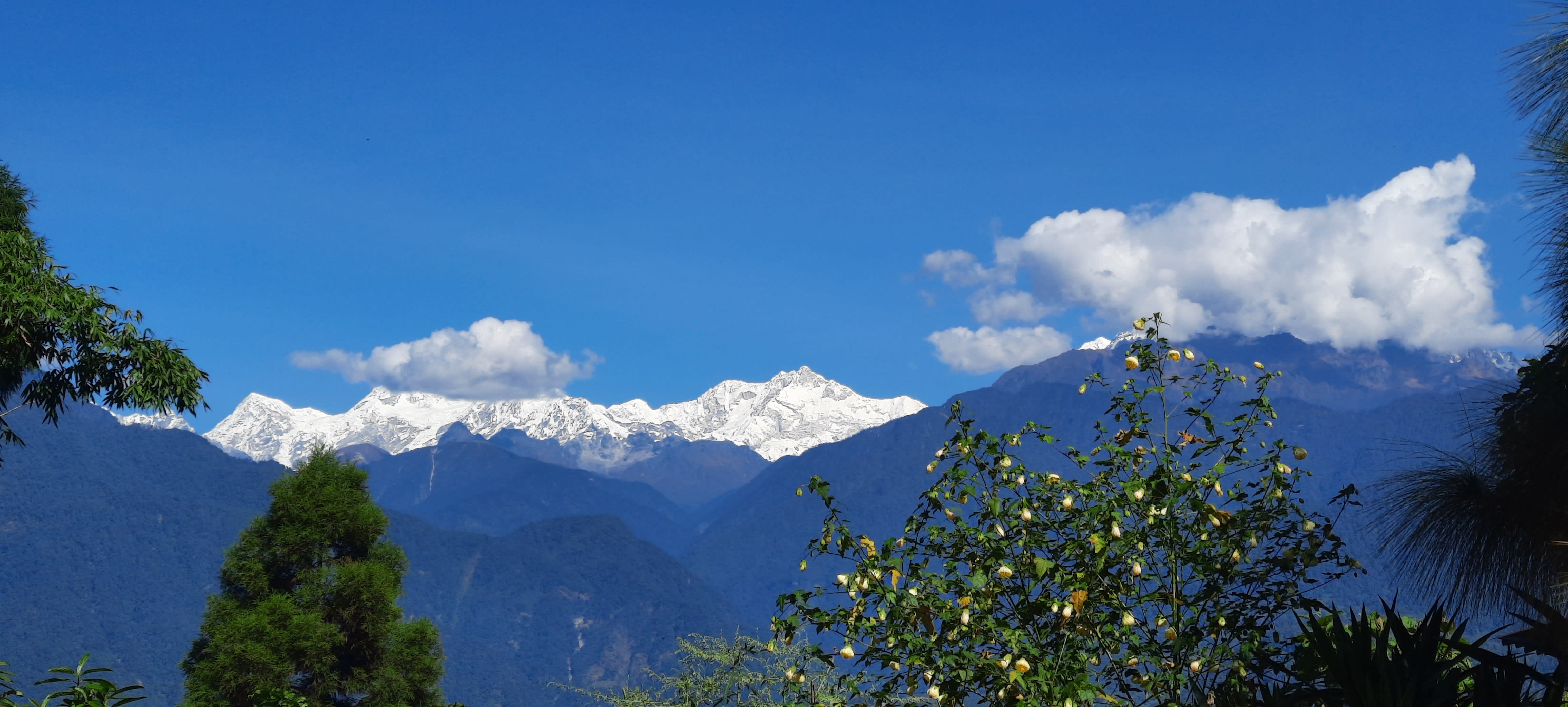 Mochilero Ostello - Sikkim