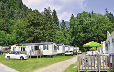 Camping Manor Farm - Suiza