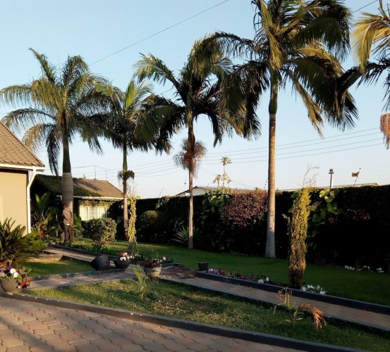 Sago Palm Executive Lodge - Lusaka