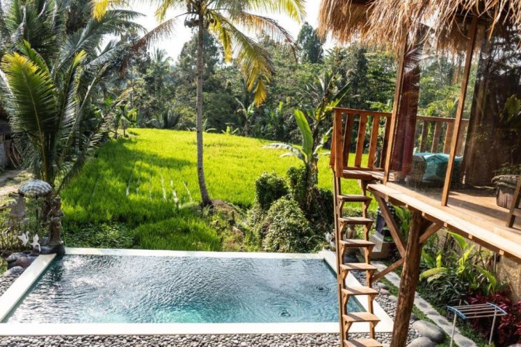 Bali Bamboo Jungle Huts And Hostel. - Kintamani