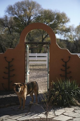 Lazy Dog Ranch - Hereford, AZ