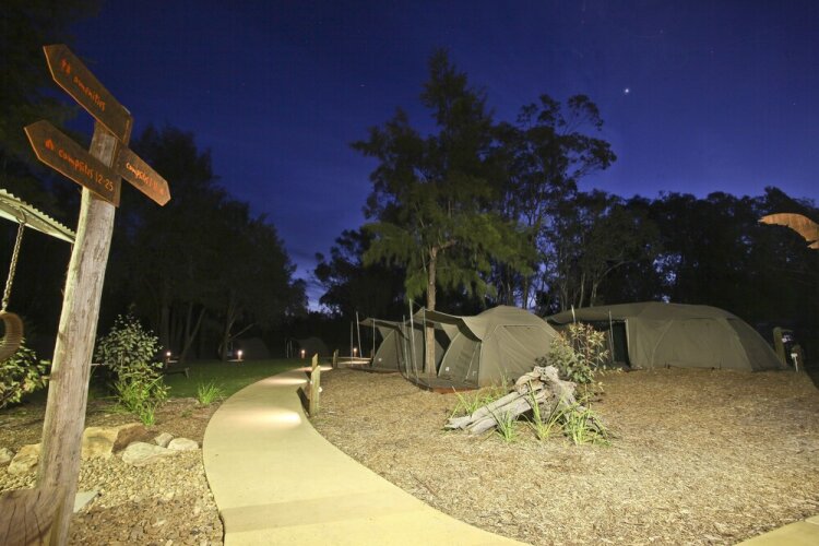 Billabong Camp At Taronga Western Plains - Dubbo