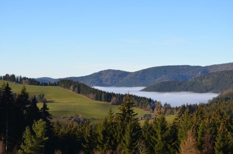 Landgasthof Bären - Furtwangen im Schwarzwald