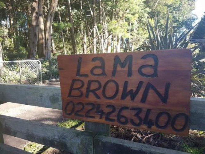 Lama Brown - Quiet Rural Cottage - Ōhau