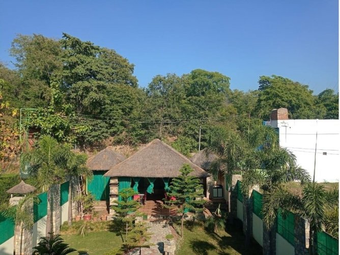 The Corbett Jungle - Ramnagar