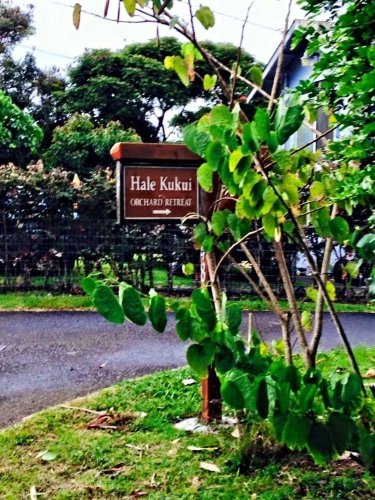 Hale Kukui Orchard & Cottages - 호노카아