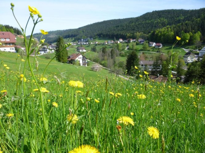 Schwarzwald Ferienwohnungen Begert - Mitteltal