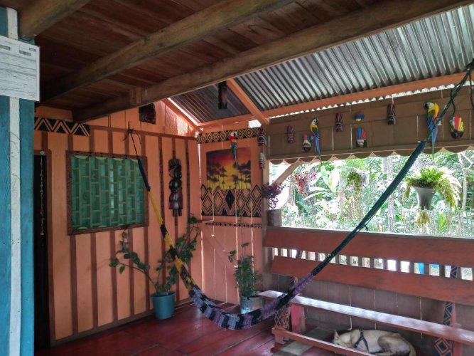 Hostal Búho Amazonas Tours - Hostel - Amazonas