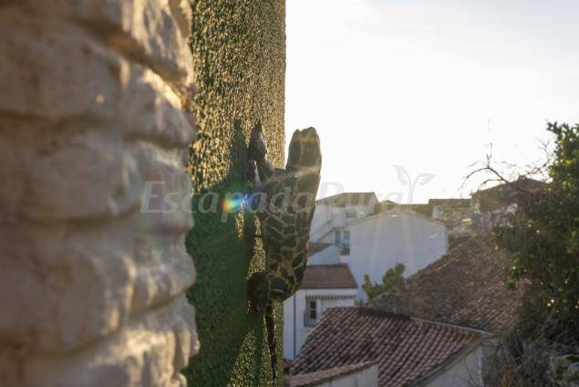 Casa Rural ∙ 2 Habitaciones ∙ 6 Personas - Extremadura