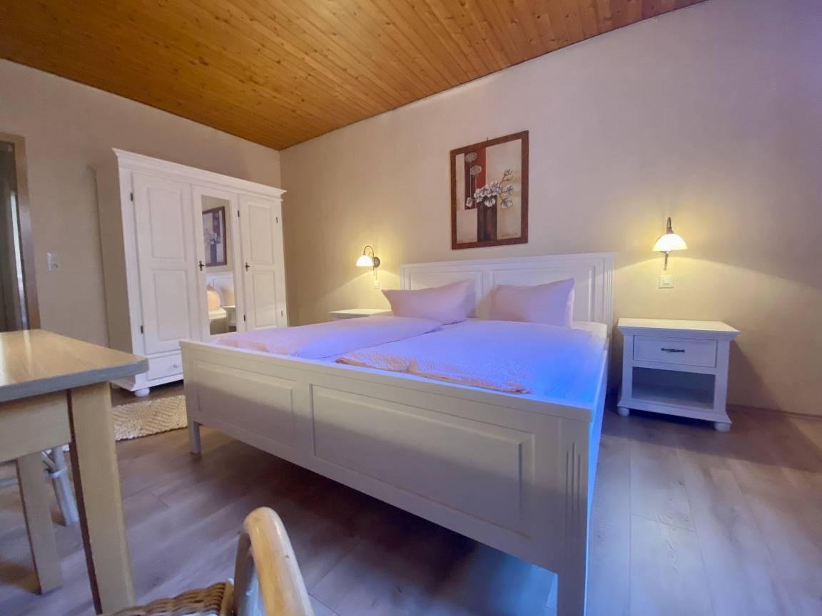 Hotel ∙ Tweepersoonskamer, Douche, Wc - Wissembourg