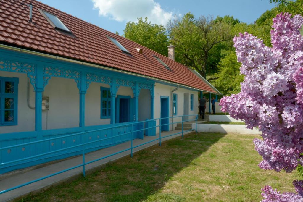 Kékfestő Vendégház - Miskolc