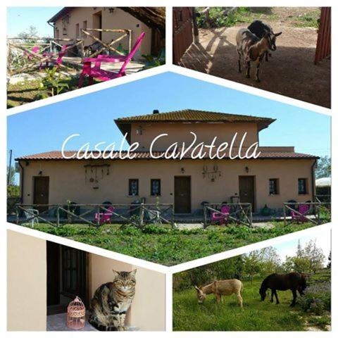 Casale Cavatella - Latina, Italia