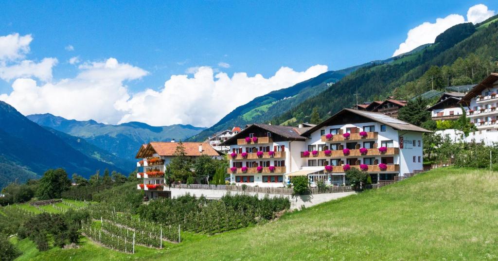 Pension Grafenau - Alto Adige