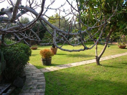Villa Chiarenza Maison D'hotes - Giardini-Naxos