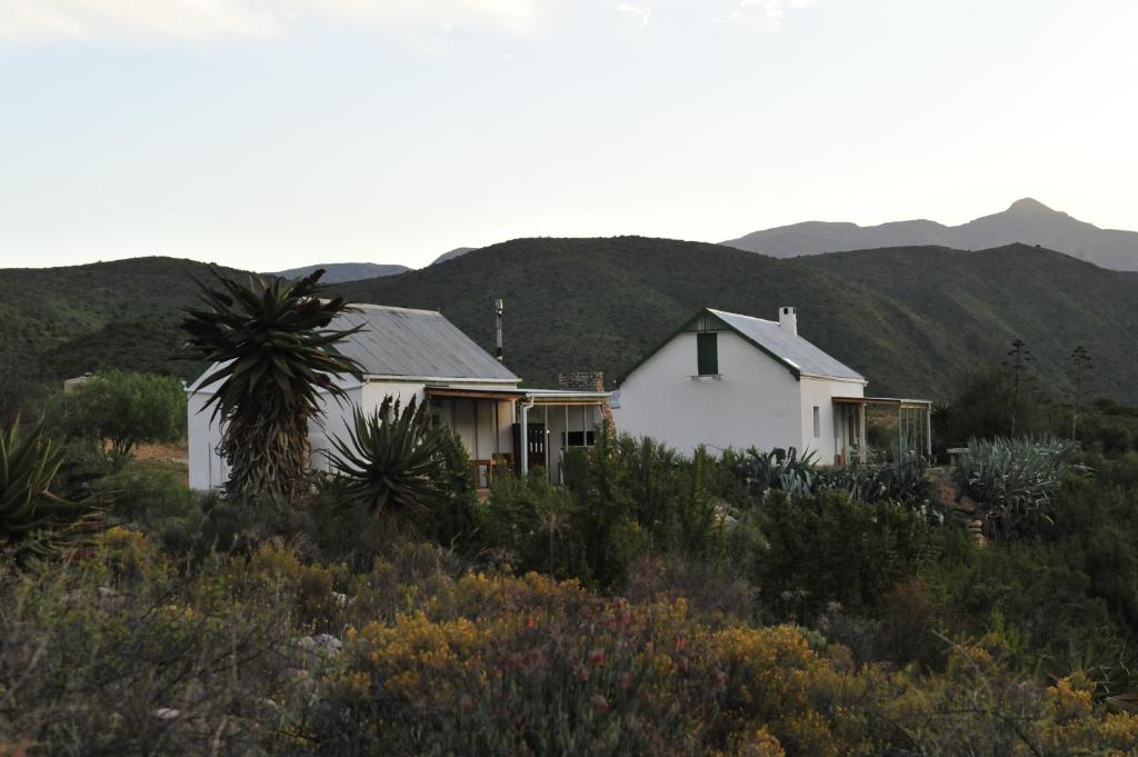 Matjiesvlei Guestfarm - Južna Afrika