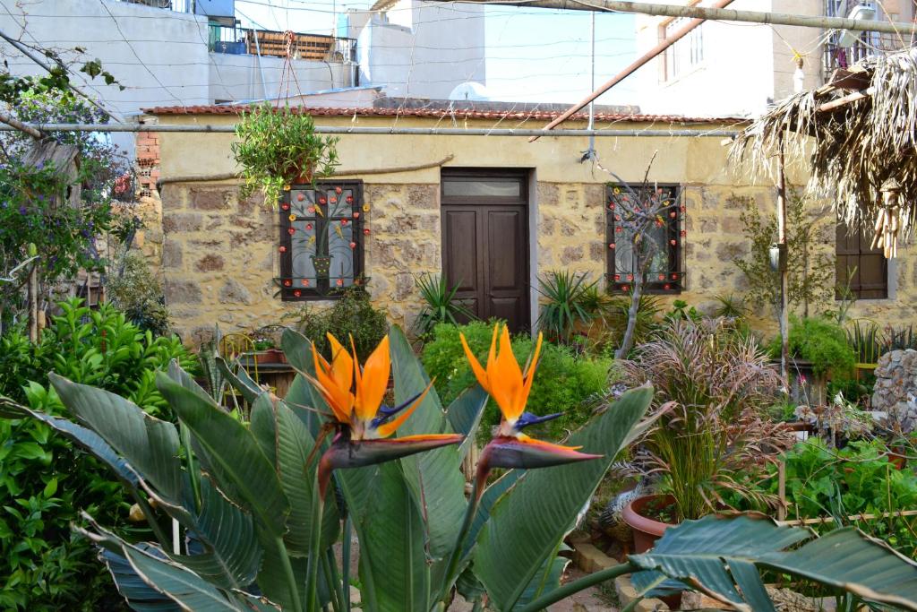 Mystery Garden Guest House - Famagosta