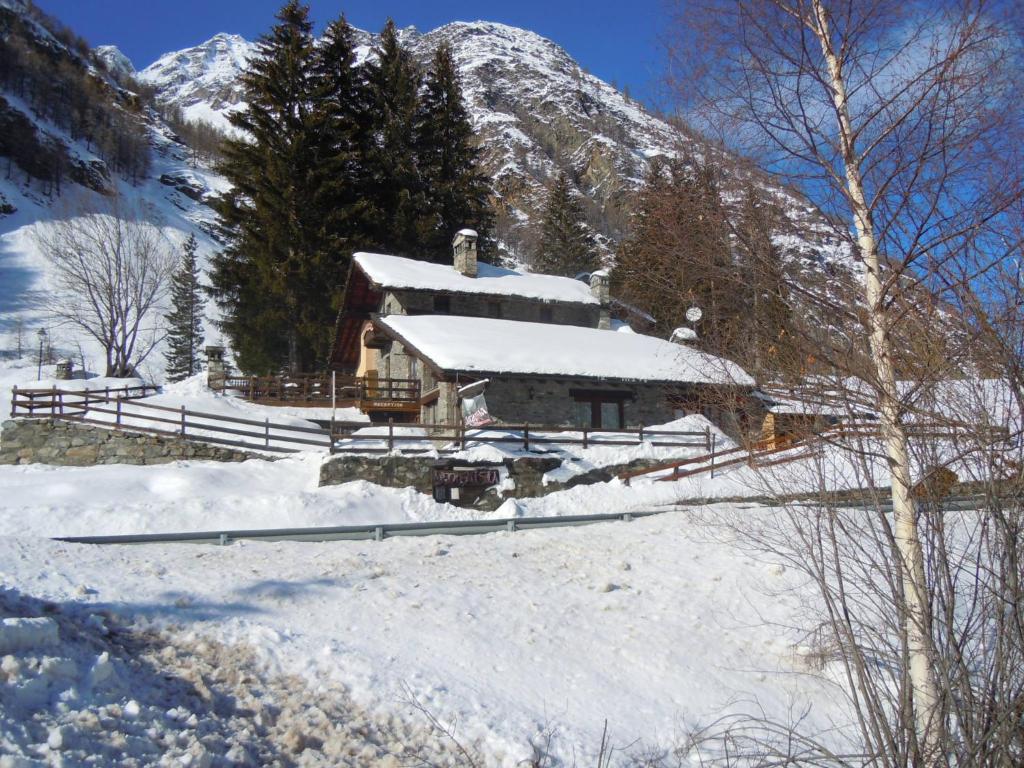 Arthemisia - Valle d'Aosta