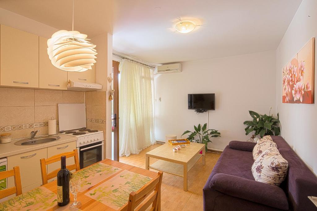 Apartment Srdanovic - Budva