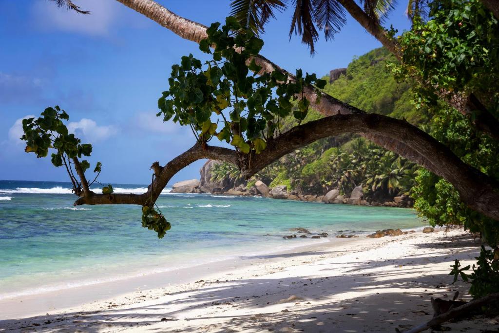 Surfers Beach Self Catering Chalets - Seychelles