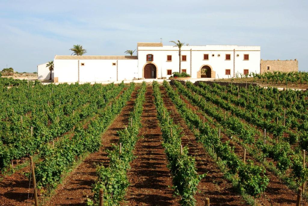 Agriturismo Baglio Donnafranca Wine Resort - Provincia di Trapani