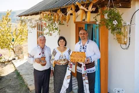 Pensiunea turistica "Casa rustica" - Județul Iași