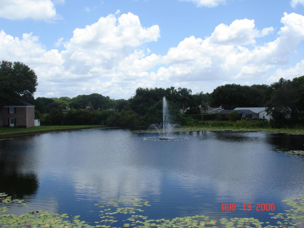 Beautiful Condo Close To Busch Gardens - Tampa