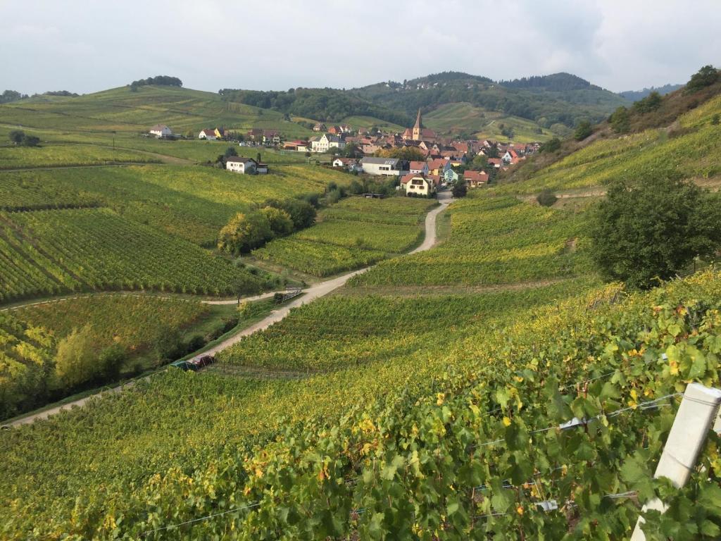 Winehouse 1751 Vicino A Colmar, A Un'ora Di Distanza Dalla Germania E Dalla Svizzera - Eguisheim