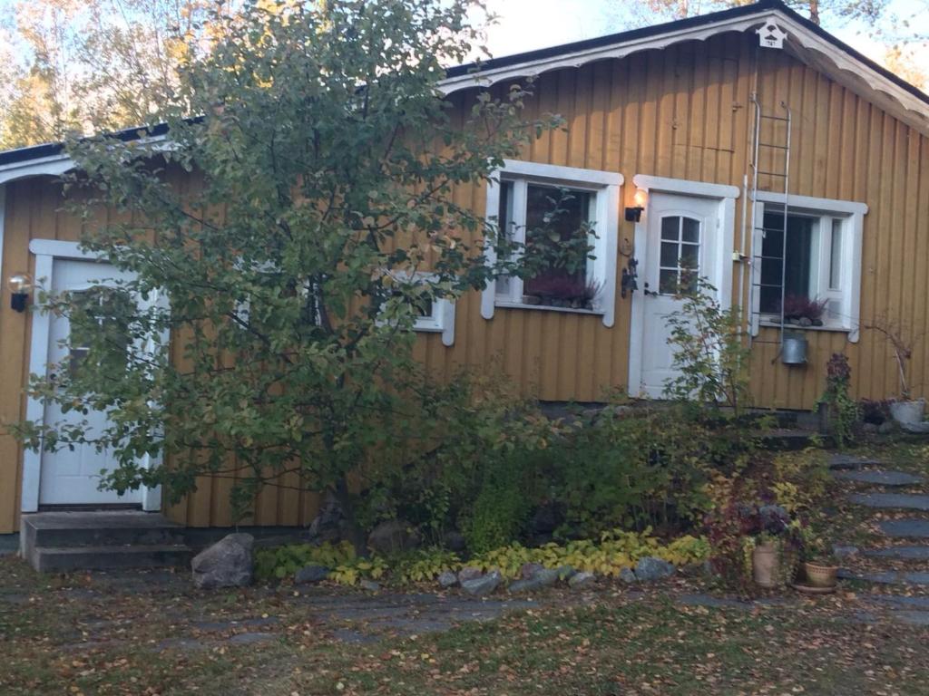 House With Private Beach - Finlandiya