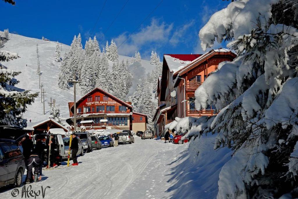 Complex Turistic Alpina Blazna Sant - Județul Maramureș