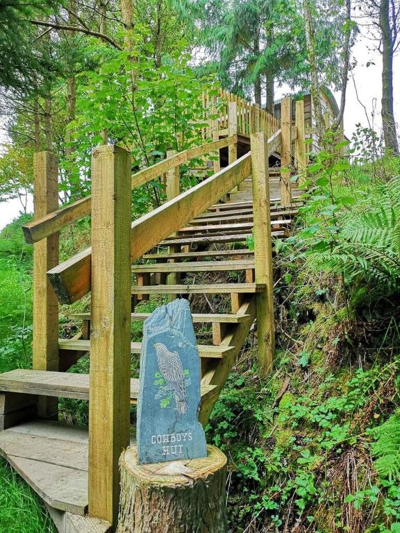 Llethrau Forest & Nature Retreats - North Wales
