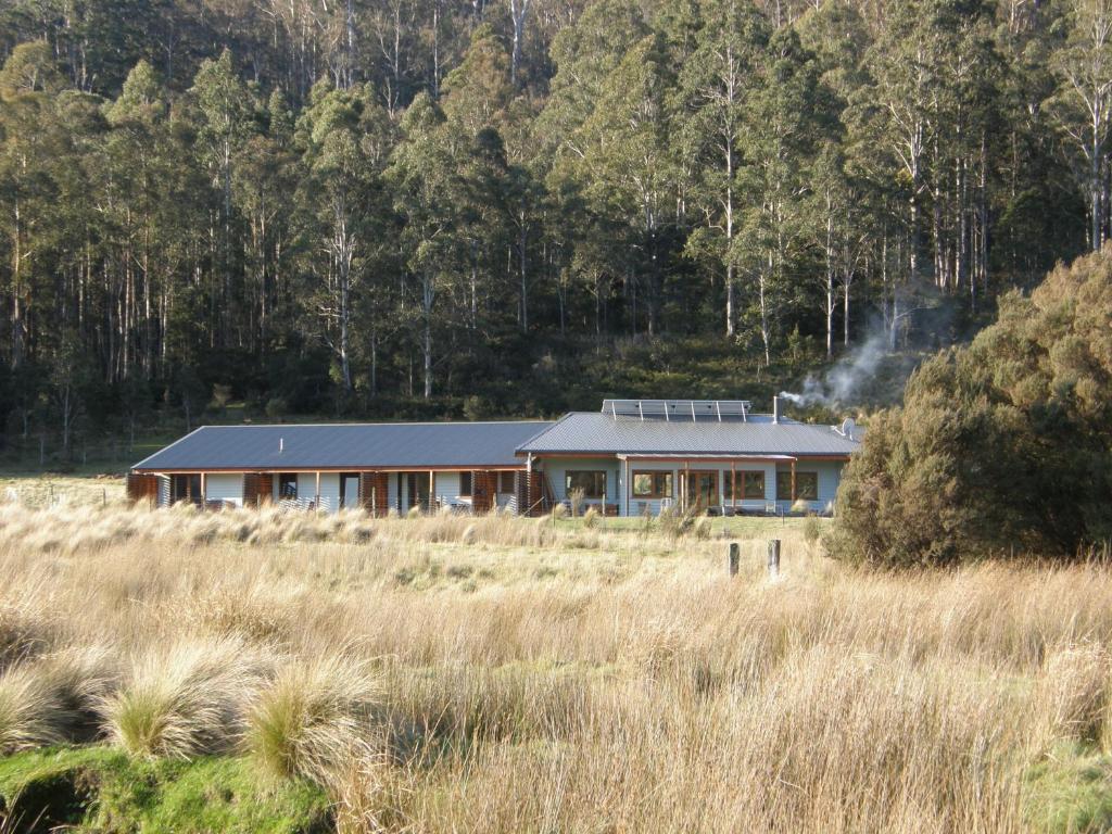 Forest Walks Lodge - Tasmanien