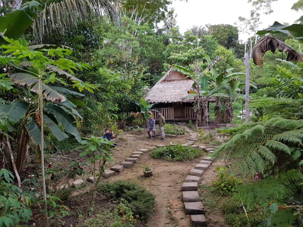 Omshanty Jungle Lodge - Amazonas, Colombia