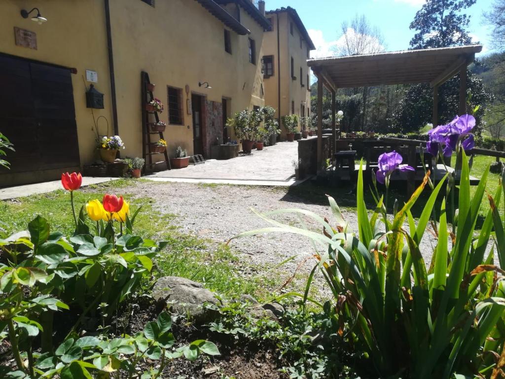 A Casa Del Tosi - Province of Lucca