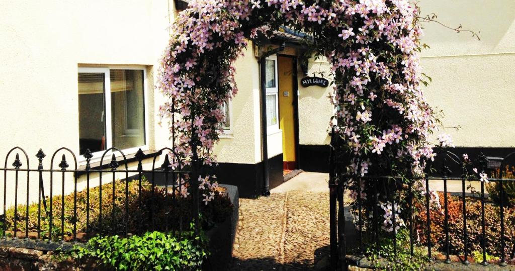 Hillside Bed And Breakfast - Crediton