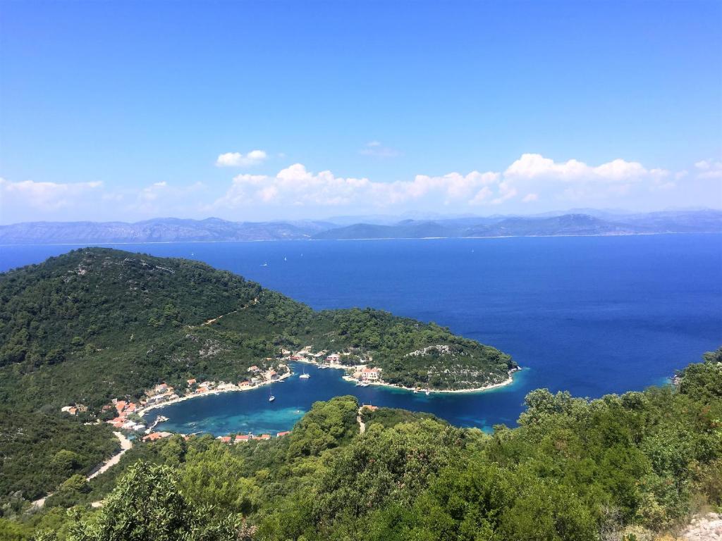 Studio Dolores-apartment By The Sea - Mljet