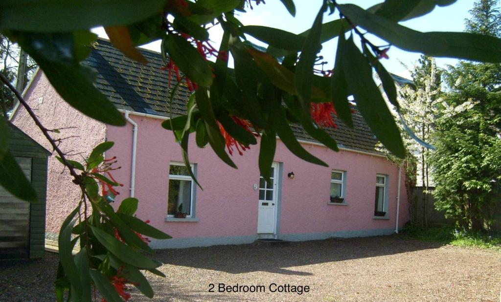 Hallmount Cottage - Belfast - 貝爾法斯特