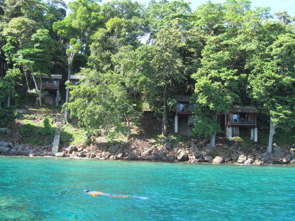 Treetop Guesthouse and Bungalows - Sabang