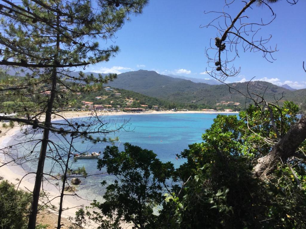 Residence Playa Del'Oro - Corsica